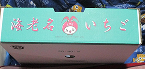 南えびなスポーツクラブ お知らせ